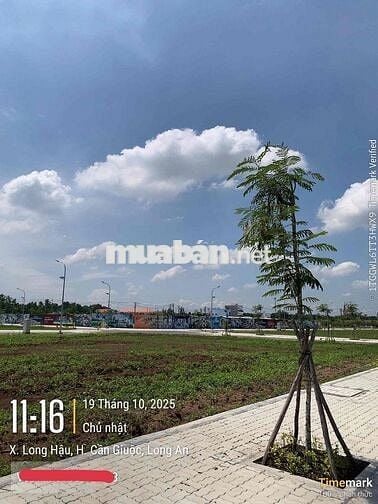 Đất nền đã có sổ đỏ riêng The 826EC Long Hậu, giỏ hàng cđt 39 nền GĐ1