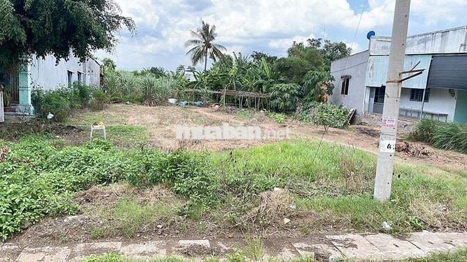 ĐẤT Giá Tốt - Cần Bán Đất Tại xã Xuân Đông , huyện Cẩm Mỹ , Đồng Nai