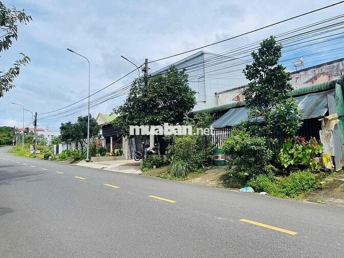 Mặt tiền Nguyễn Tuân - Bảo Lộc ngay đại học Tôn Đức Thắng Full thổ cư