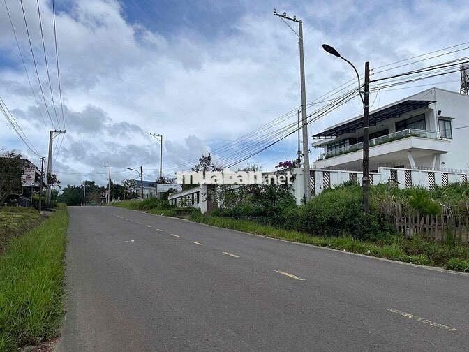 MẶT TIỀN ĐƯỜNG NHỰA LÊ PHỤNG HIỂU BẢO LỘC - DT 676m2 SẴN 100m THỔ CƯ