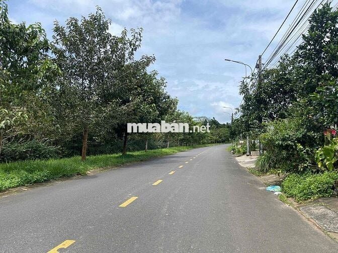 Mặt tiền Nguyễn Tuân - Bảo Lộc ngay đại học Tôn Đức Thắng Full thổ cư