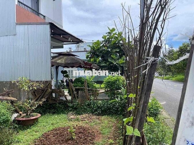 Mặt tiền Nguyễn Tuân - Bảo Lộc ngay đại học Tôn Đức Thắng Full thổ cư