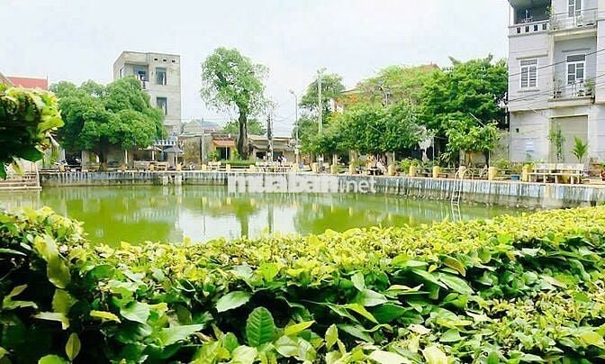 🏡CHÍNH CHỦ BÁN ĐẤT TRƯỜNG YÊN, CHƯƠNG MỸ- 130M- LÔ GÓC- ÔTÔ ĐỖ – 5.X 🔥