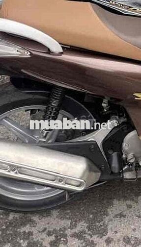 Sh 150i nâu Caffe biển tam hoa