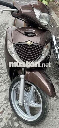 Sh 150i nâu Caffe biển tam hoa