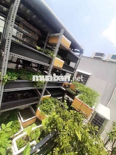 🏡CHO THUÊ NHÀ NGUYÊN CĂN QUẬN 5 GIÁ RẺ