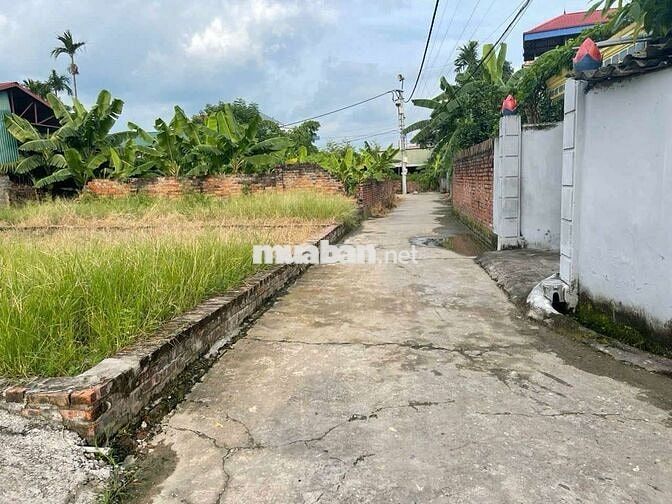 Gần Shophouse Sun Group và KDT Hut Mê Linh 200tr/m và KCN Quang Minh Gần Shophouse Sun Group và KDT Hut Mê Linh 200tr/m và KCN Quang Minh