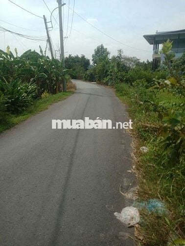 Đất vườn mặt tiền đường nhựa 3b