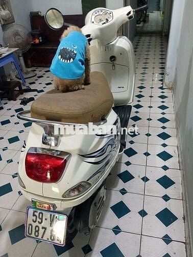 Cần bán xe cho ace nào cần