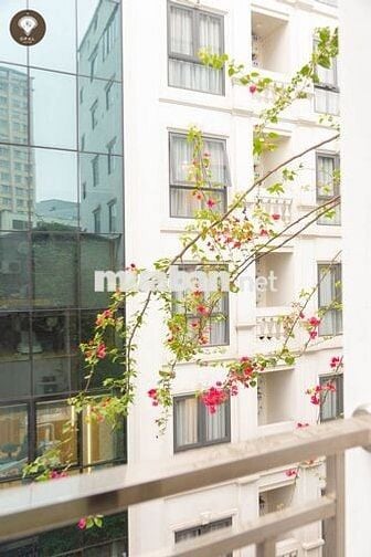 Phòng 28m2 mới 100% đường Trần Quốc Vượng, Q. Cầu Giấy