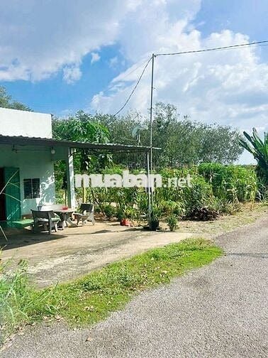 Đất HCM ngay trung tâm Phứơc Sang (10*39) trên MT đưòg huyện 32m 680tr