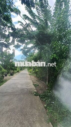 Bán 960m2 đất thổ cư mặt tiền đường Liên Ấp 2-3, Hiệp Phước, Nhà Bè