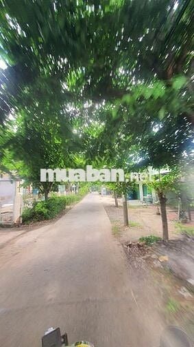 Bán 960m2 đất thổ cư mặt tiền đường Liên Ấp 2-3, Hiệp Phước, Nhà Bè
