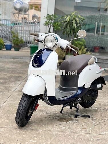 [XE 50cc SIÊU CUTE]💖 Giorno 50cc Mono 2020💖 mới95%