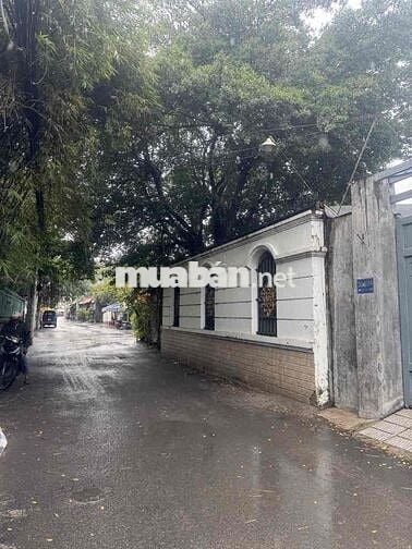 Bán Nhà Hẻm 3m , Quang Trung, 25m2, P14, Gò Vấp