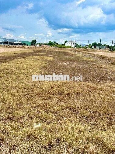 Bán đất lền hẻm thông 4m đường 823D Đức Hoà Đông - Đức Hoà - Long An