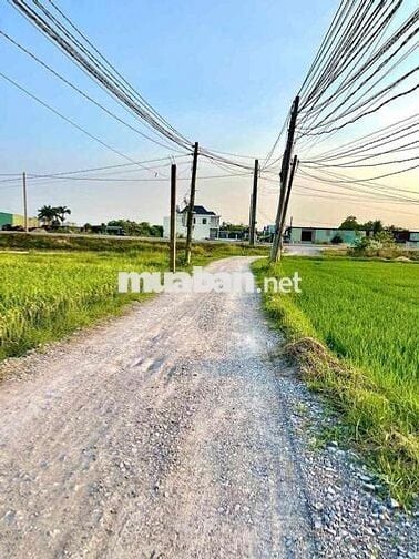 Bán đất lền hẻm thông 4m đường 823D Đức Hoà Đông - Đức Hoà - Long An