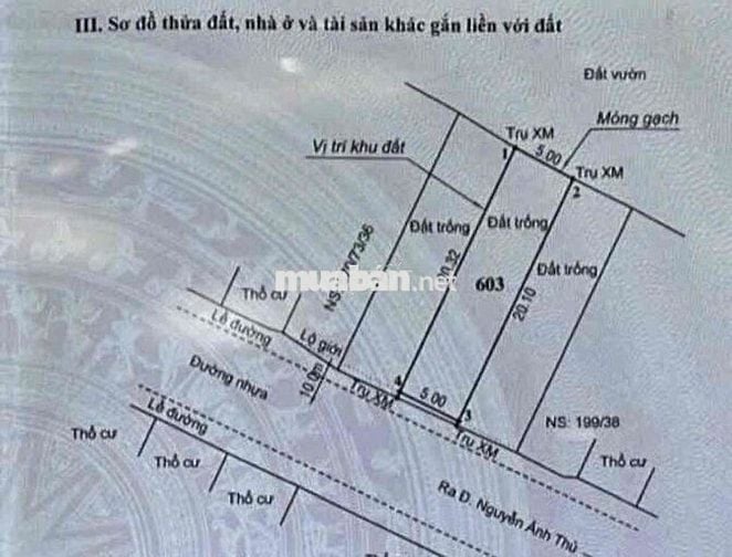 Bán Lô Đất 5x21 HXH Đường 10m. Khu Nhà lầu- P. Hiệp Thành