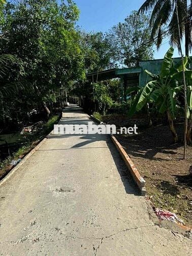 2tỷ500tr cho 1206m2 có 300 odt Ở gần nhà máy nhiệt điện phước thới cần