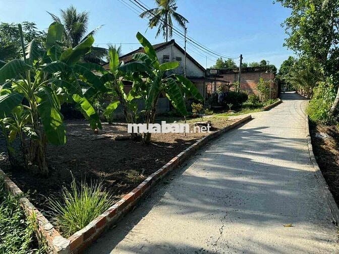 2tỷ500tr cho 1206m2 có 300 odt Ở gần nhà máy nhiệt điện phước thới cần