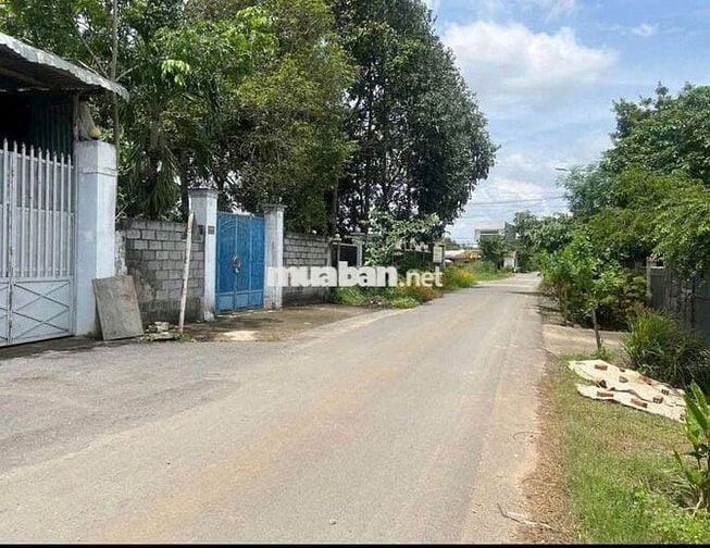 BÁN ĐẤT: 6x21 thổ cư 1/ Ba Sa - Tân AN Hội mới - SHR