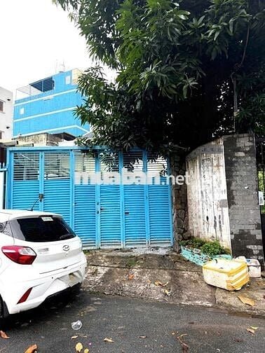 Cho Thuê Nhà Đường Lũy Bán Bích, Tân Phú ( 12x25m - KD Tự Do )