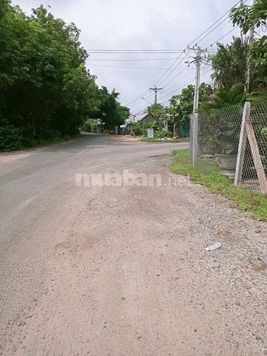 bán đất trồng cây lâu năm, xây nhà để ở, đất cao ráo, bằng phẳng