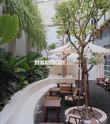 MÔ HÌNH CAFE SÂN VƯỜN NGANG 21M TẠI 51 NGÔ BỆ QUẬN TÂN BÌNH