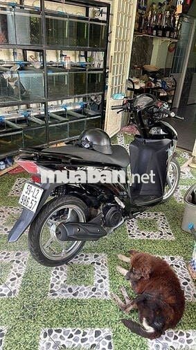 cần bán xe vision 2019