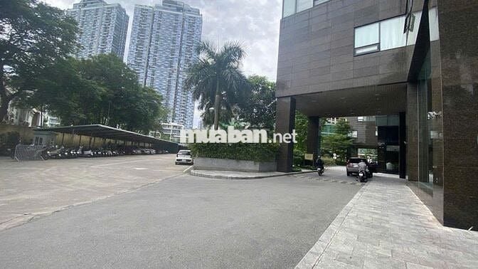 Chính chủ bán gấp CH Golden Place, Mễ Trì, 118m2, 3N,2WC, giá 11.55 tỷ
