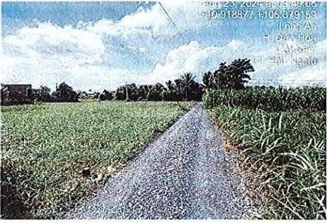 Bán ĐGTS đất tại xã Hậu Nghĩa, tỉnh Tây Ninh