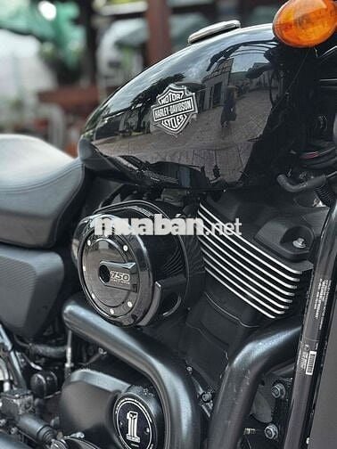 Harley Street 750 Oddo 8000, xe cọp giá siêu tốt