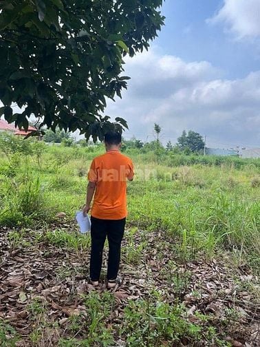 CTY ĐẤU GIÁ HỢP DANH TRỰC TUYẾN VIỆT NAM (VNOA) TỔ CHỨC ĐẤU GIÁ