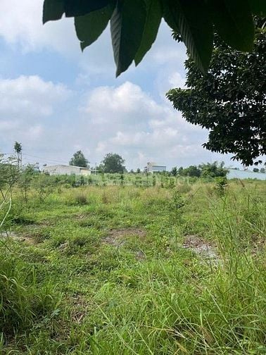 CTY ĐẤU GIÁ HỢP DANH TRỰC TUYẾN VIỆT NAM (VNOA) TỔ CHỨC ĐẤU GIÁ