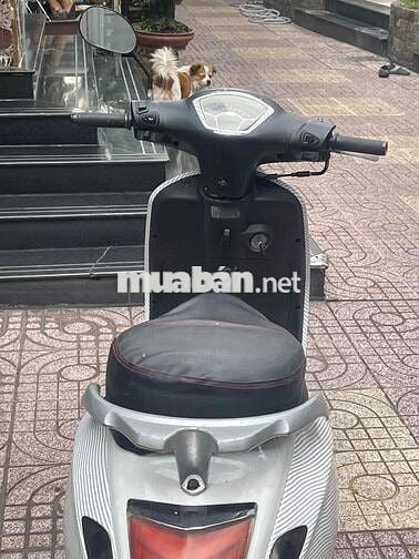 Bán xe Vespa 50cc,Bst29 đời 2019,xe đẹp gtdd
