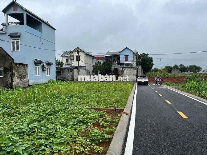 chính chủ e bán lô đất 100m full thổ cư tại phú cát hà nội