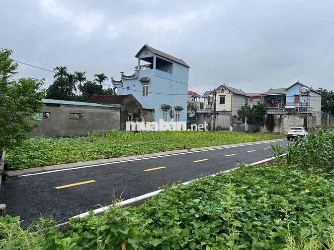 chính chủ e bán lô đất 100m full thổ cư tại phú cát hà nội