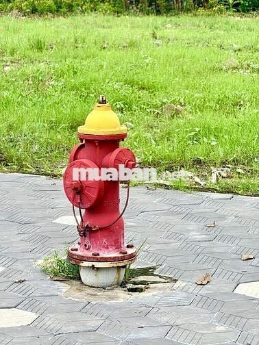 CẦN BÁN GẤP ĐẤT THỔ CƯ 100%, 4.5 x 18.5m, Khu vực Cầu Xáng