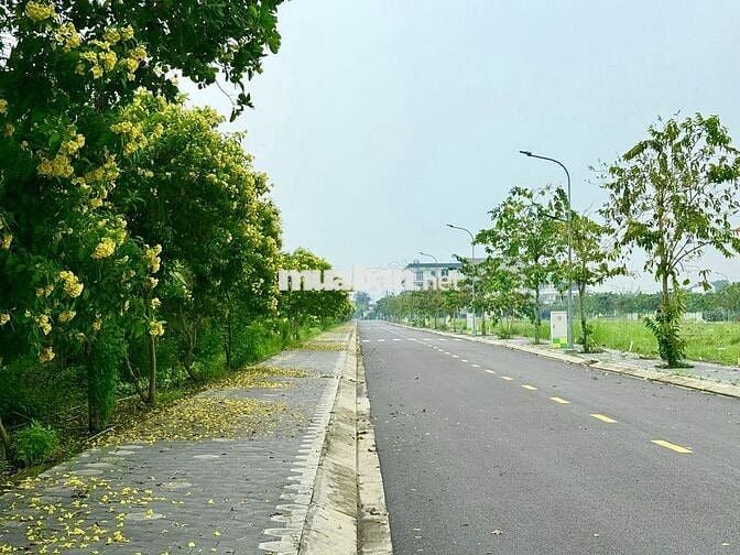 CẦN BÁN GẤP ĐẤT THỔ CƯ 100%, 4.5 x 18.5m, Khu vực Cầu Xáng