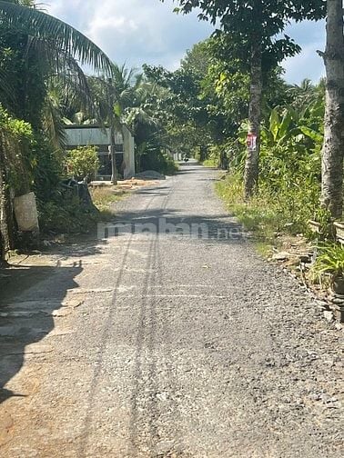 ĐẤT VƯỜN DỪA 1500 M2 ĐANG THU HOẠCH (CÓ 200 M2 THỎ CƯ), LỘ  NHỰA 5T  