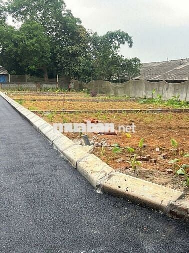 Bán 5Lô Đất Hàng F0 Đường Liên Xã Hoà Thạch Cũ Nay là Phú Cát TPHà Nội