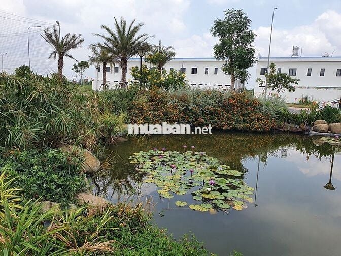 Đất nền dự án 100m vuông đẹp, Long An sát mép TPHCM