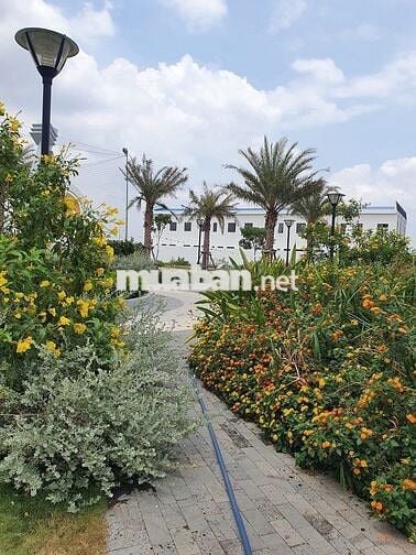 Đất nền dự án 100m vuông đẹp, Long An sát mép TPHCM