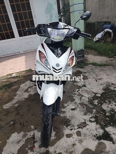Xe 135 xuống ao
