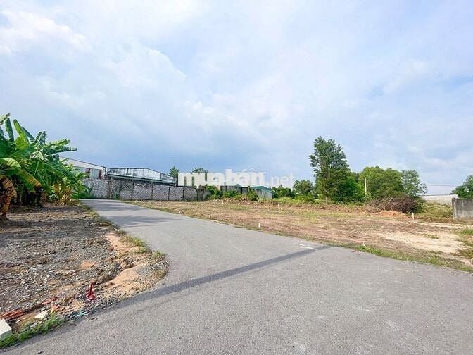 ĐẤT NỀN KDC TÂN TRIỀU GẦN SÂN BAY BIÊN HÒA CHỈ 500TR SANG TÊN SỔ RIÊNG
