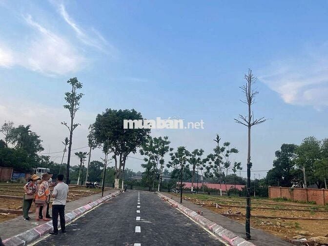 Cần bán đất hòa lạc ở vùng lõi phú cát