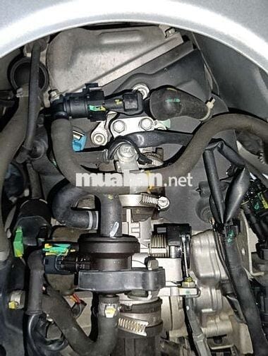 Vepba abs ,2019 zin đẹp,bs65