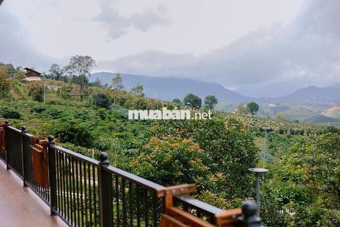 Aman Cloud - Chạm vào mây, Sống trọn an nhiên giữa cộng đồng tử tế