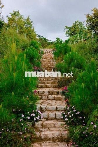 Aman Cloud - Chạm vào mây, Sống trọn an nhiên giữa cộng đồng tử tế