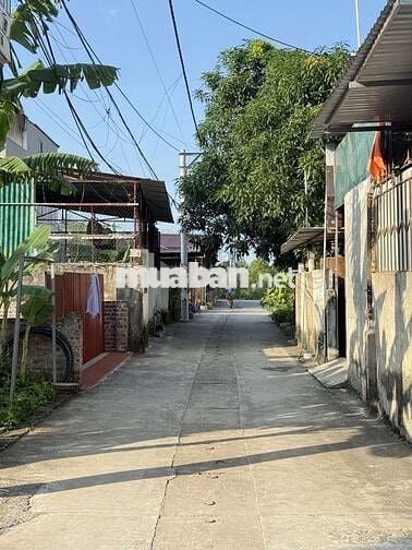 CẦN BÁN 55M ĐẤT THỊ TRẤN QUANG MINH.SẴN NHÀ 1 TẦNG MỚI Ở LUÔN
